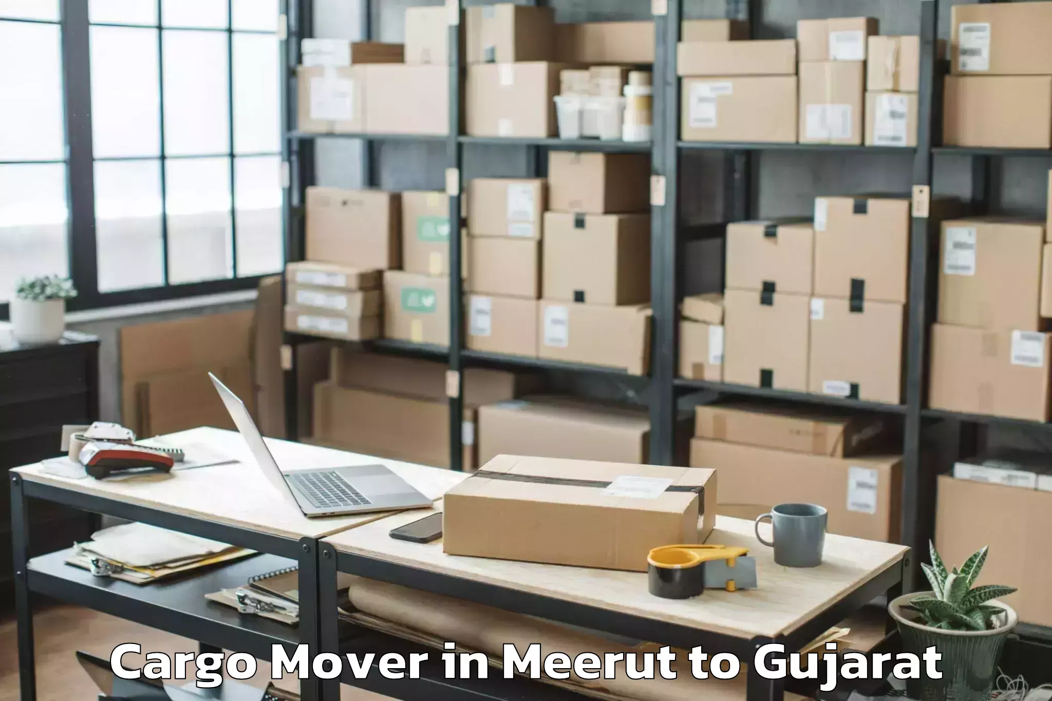 Leading Meerut to Damnagar Cargo Mover Provider